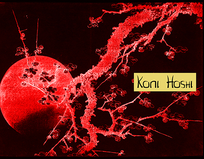 Koni Hoshi | Visual identity