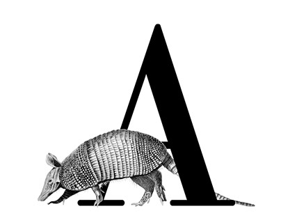 Project thumbnail - Alphabet Animals