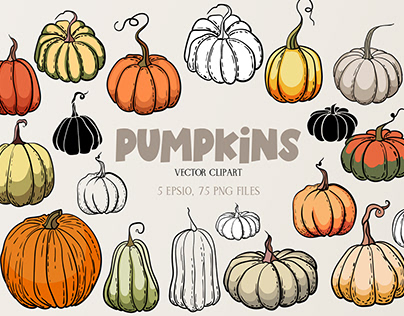 Pumpkins - vector clipart