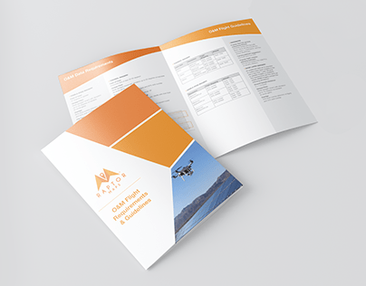 Brochure and 1-Pager Design for Raptor Maps