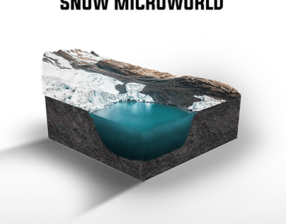 Snow Microworld