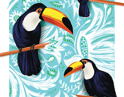 Project thumbnail - La beauté du toucan.