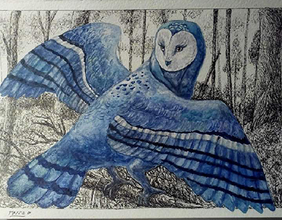 Project thumbnail - Blue Barn Owl