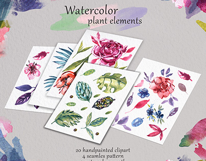 Watercolor botanical elements and flowers