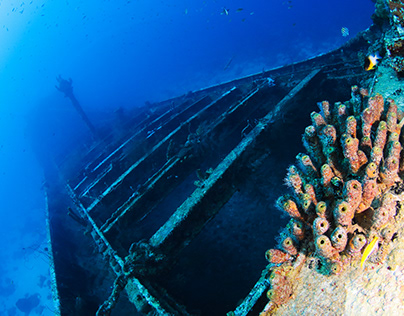 Caribbean Shipwrecks