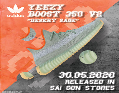 Released Yeezy boost 350 v2