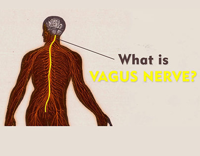 Project thumbnail - What Is The Vagus Nerve_ Brain, Mind Body Connect