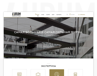 Website of law firm
