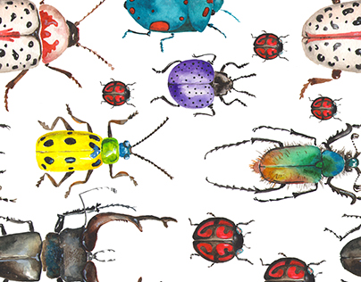watercolor beetle