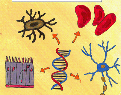 Project thumbnail - Gene Expression