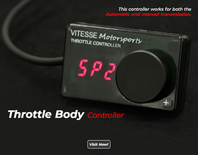 Throttle body controller