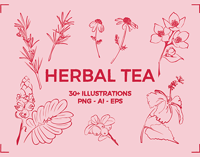 HERBAL TEA (30+ ILLUSTRATIONS)