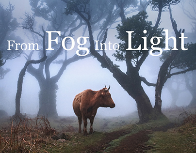 From Fog Into Light