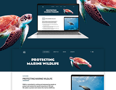 Protecting Marine Wildlife. Charity