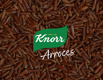 Rediseño de empaque arroces y pastas Knorr 2020