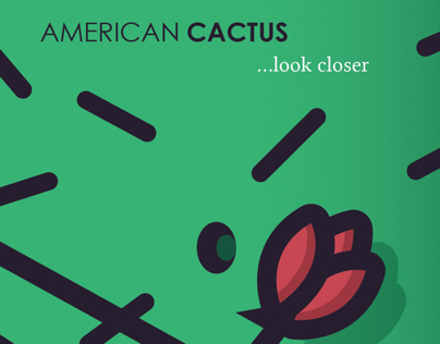 American (Beauty ) Cactus... look closer