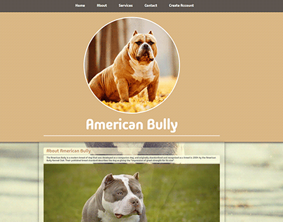 American Bully Web Design