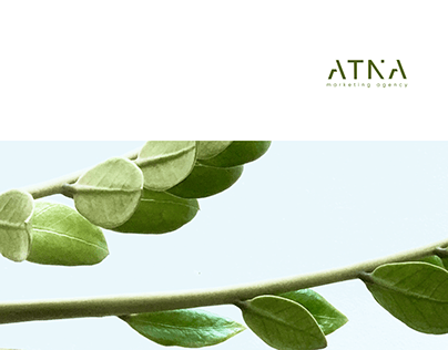 Project thumbnail - ATNA Marketing Agency - Branding & Website