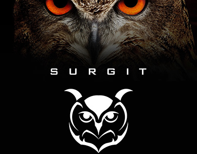 SURGIT, owl logo made using golden ratio rule