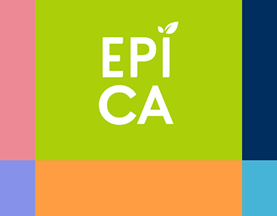 Design System For EPICA