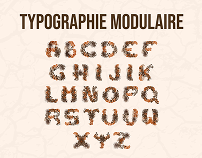 Typographie Modulaire