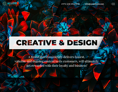 Digital Marketing Agency UX UI website design