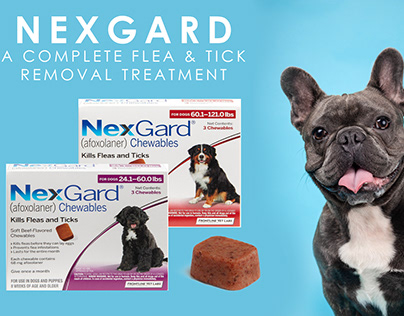 Nexgard Flea&Tick Treatment-easyvetsupplies.com