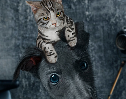 Perro y Gato Ilustracion