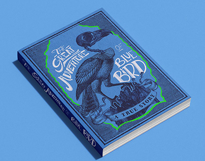 The Great adventure of blue bird Book Cover