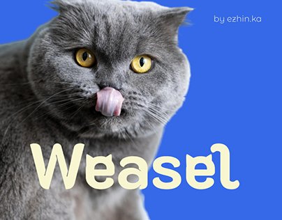 Weasel. Дизайн корма для кошек
