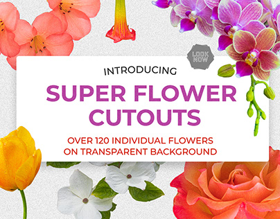 Flower Cutouts