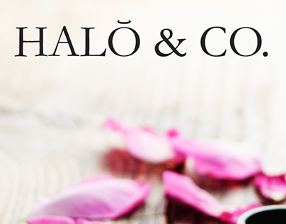 Halo & Co.