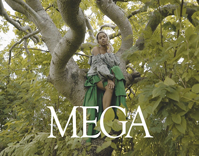 The Reaping for Mega Magazine