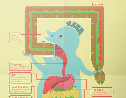 Digestive System Infographic
