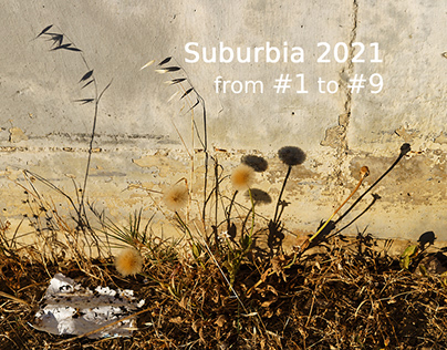 SUBURBIA 2021 - Digest from the Beginning