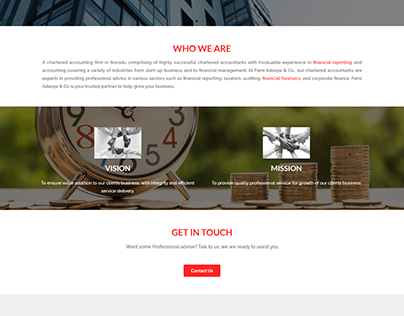 Femi Adeoye Website Design