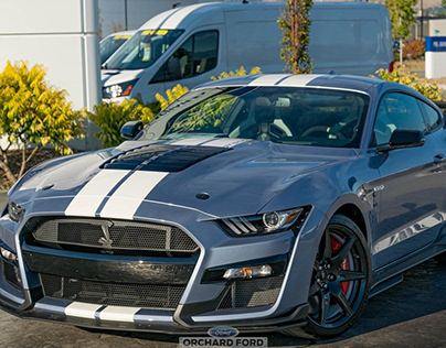Shelby, Ford, car, gt500