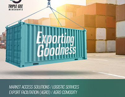 Visual content for Triple Gee Logistics