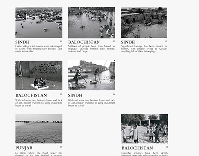 Flood Mitigation - Catalogue Design
