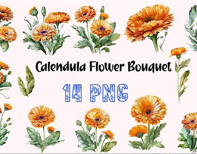 Watercolor Calendula flowers Marigold bouquet