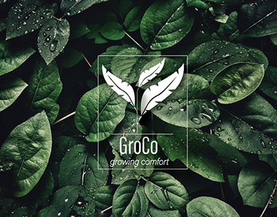 GroCo, a complete formal footwear