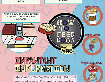 Dog Info graphic