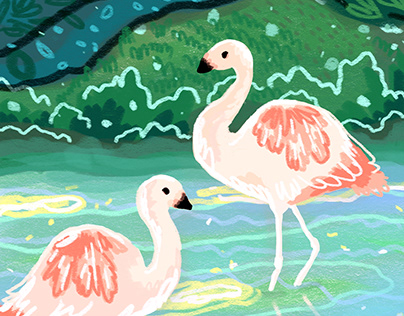 flamingo, three bird
