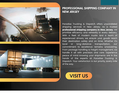 Get Affordable & Professional Shipping Company