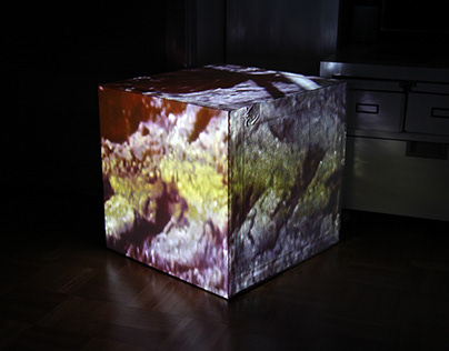 3D Cube Projection