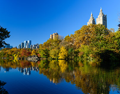 Central Park Fall 2015