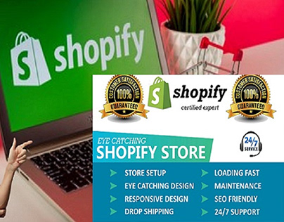 Create a professional shopify website or shopify store