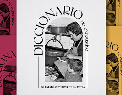 Project thumbnail - Fanzine / Diccionario Palentino