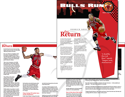 Chicago Bulls Newsletter