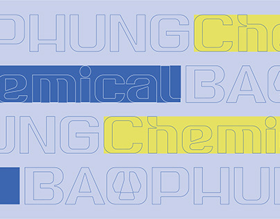Project thumbnail - Baophung Brand Identity